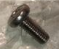 Гвинт M6x16 для гідроциклів Sea Doo BRP SCREW-PAN HD.PH.DIN.7985A, фото 1