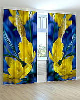 Штори Фотоштори квіти жовто-сині Код: ART 0337