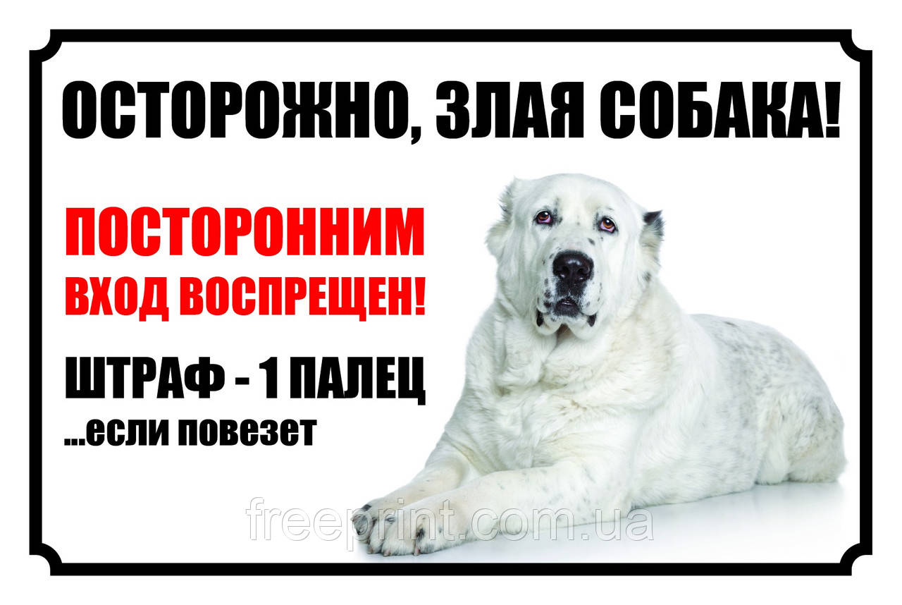 Табличка собака, обережно собака, табличка з алабаєм. Друк за передоплатою