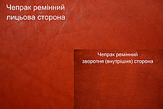 Шкіра ремінна чепрачная (Чепрак) т. 4,0 мм, колір червоний