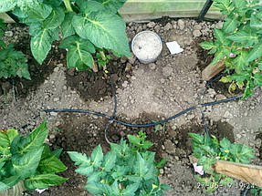 При крапельному поливі значно економиться розхід води, а також навкруг рослин не ростуть буряни. Крапельний полив запобігає попаданню води на нижні листки