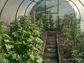 Система поливу АкваДуся подбає про врожай, коли Вас немає поруч!