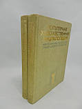 Популярна художня енциклопедія. В 2-х томах (б/у)., фото 2