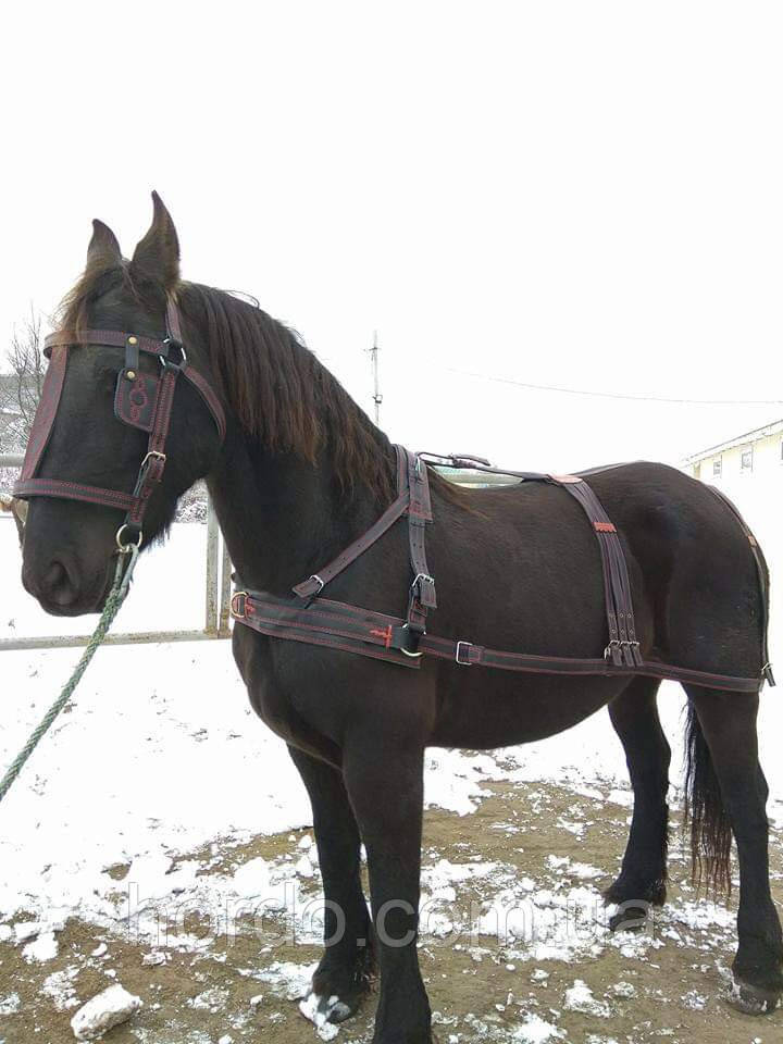 Упряж. шлея, наритник, повітропроникна, фото 1