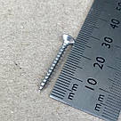 Шуруп А2 3.0х25 з нержавіючої сталі з потайною головкою, фото 3