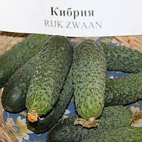 Кібрія 10 шт. насіння огірка Rijk Zwaan Голландія