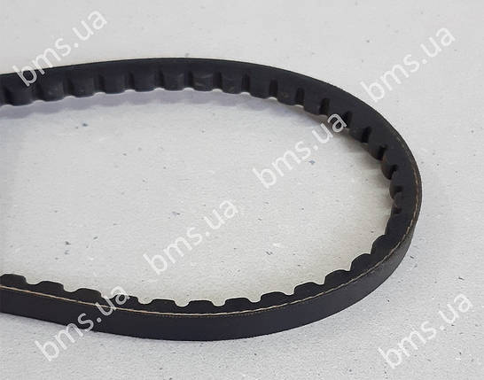 Ремінь клиновий 925 приводу компресора Putzmeister P-13, фото 1