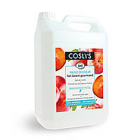 Мыло мягкое для рук с органическим яблоком Coslys,5 л