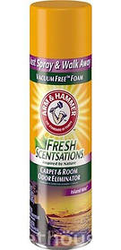 Arm&Hammer (Арм Хаммер) Піна для очищення м'яких поверхонь, 425 г