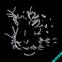 Термопринты на одежде Тигр (Стекло, 2.8мм белый, 2мм белый)