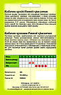 Насіння Кабачок-цукіні Ранній Красуньчик, 20 г, фото 2