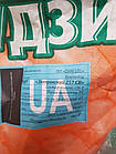 Насіння кормової кукурудзи Дніпровський 257 НВ, 1 кг, фото 3