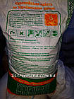 Насіння кормової кукурудзи Дніпровський 257 НВ, 1 кг, фото 4