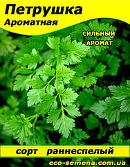 Насіння Петрушка листова Ароматне, 1 кг