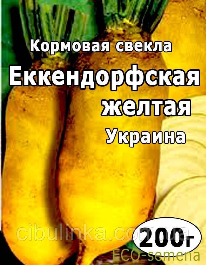 Насіння буряка кормове Екендорфське Жовте, Україна, 200 г