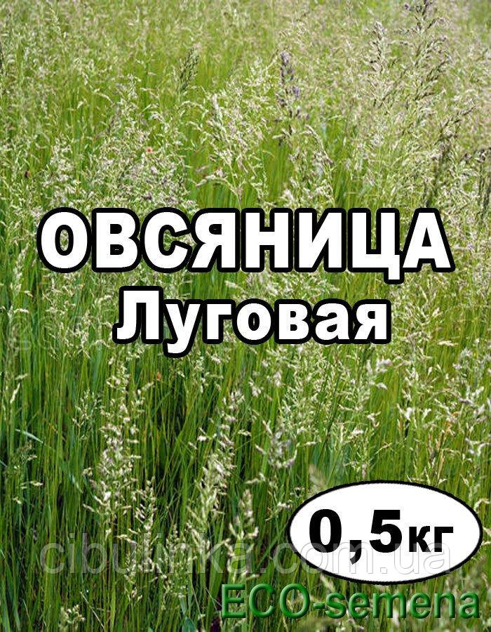 Насіння Трава Вівсянниця Лугова, 500 г, фото 1