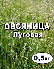 Насіння Трава Вівсянниця Лугова, 500 г