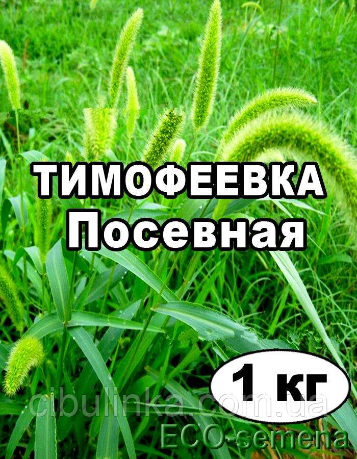 Насіння трава Тимофіївка лугова, 1 кг