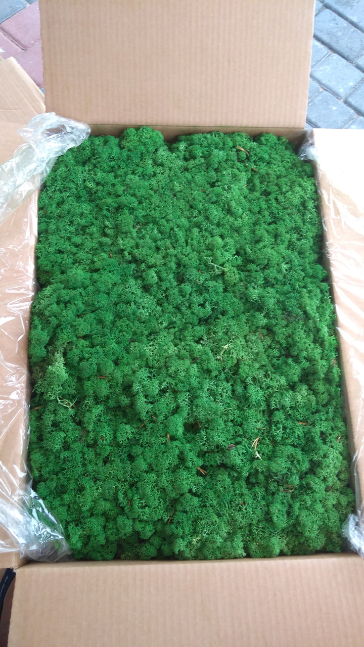 Мох стабілізований 78 grass green. УПАКОВКА 0.1 кг - фото 4 - id-p706178256