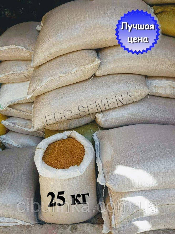 Насіння Гірчиця Біле, сидерат, мішок 25 кг, фото 1