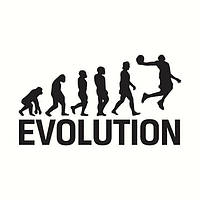 Мужская футболка с принтом Баскетбол "Evolution" Push IT