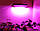 Светодиодный led фитопрожектор, фито светильник полного спектра 60вт, фото 8
