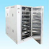 Стерилізатор візнайшний ГПД-1300, фото 4