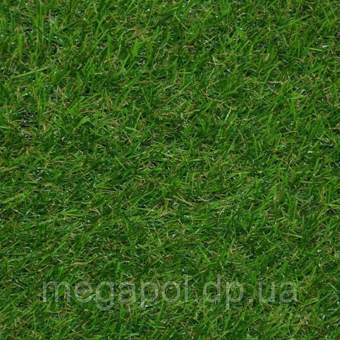 Phoenix 25/13st., фото 1