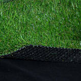 Phoenix 25/13st., фото 2