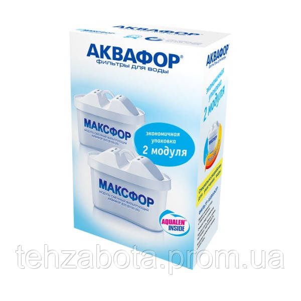 Змінний модуль В25 (В100-25) (комплект із 2 штук) для Аквафор Агат, фільтр для води МАКСФОР