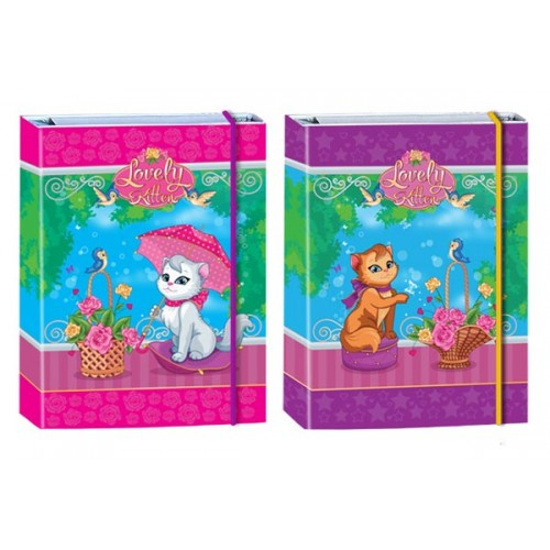 Папка для зошитів на гумці Kidis