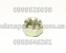 Гайка М24*1.5 поворотного кулака ГАЗ-53,3307