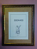 ФОТОРАМКА 30х40.Для фото,постерів.картин,вишивок., фото 2