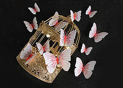 Набір декоративних метеликів - 12шт.