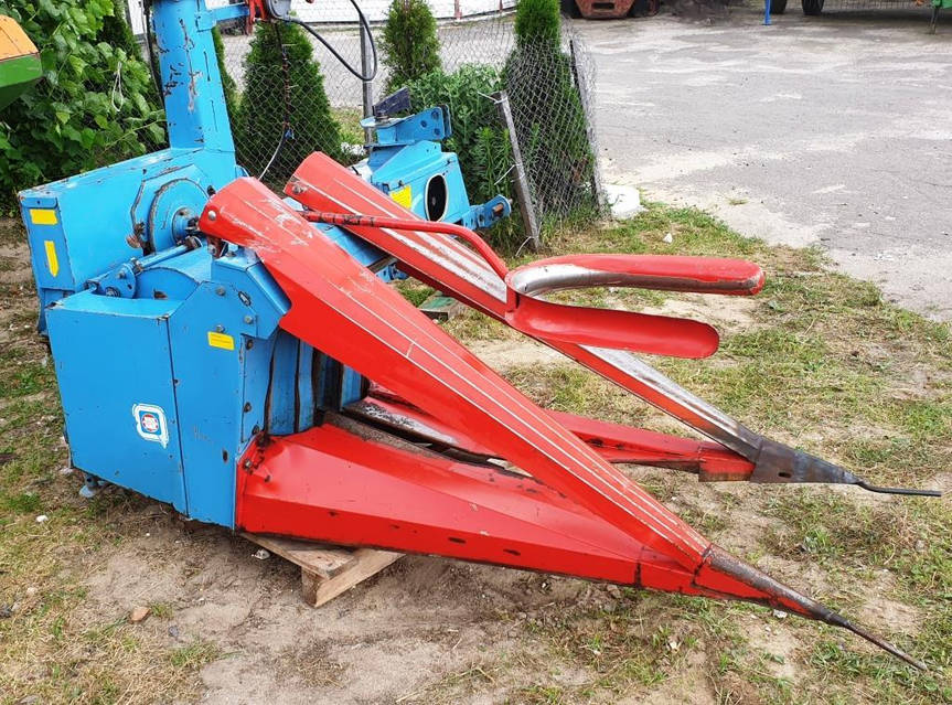 Дарья Домрачева порно фото Томск порно жұлдызы Джина Гершон