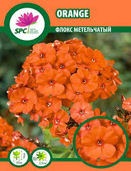 Флокс металельний Orange