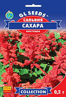 Сальвия Сахара блестящая или сверкающая растение высотой 30-35 см компактное, упаковка 0,2 г