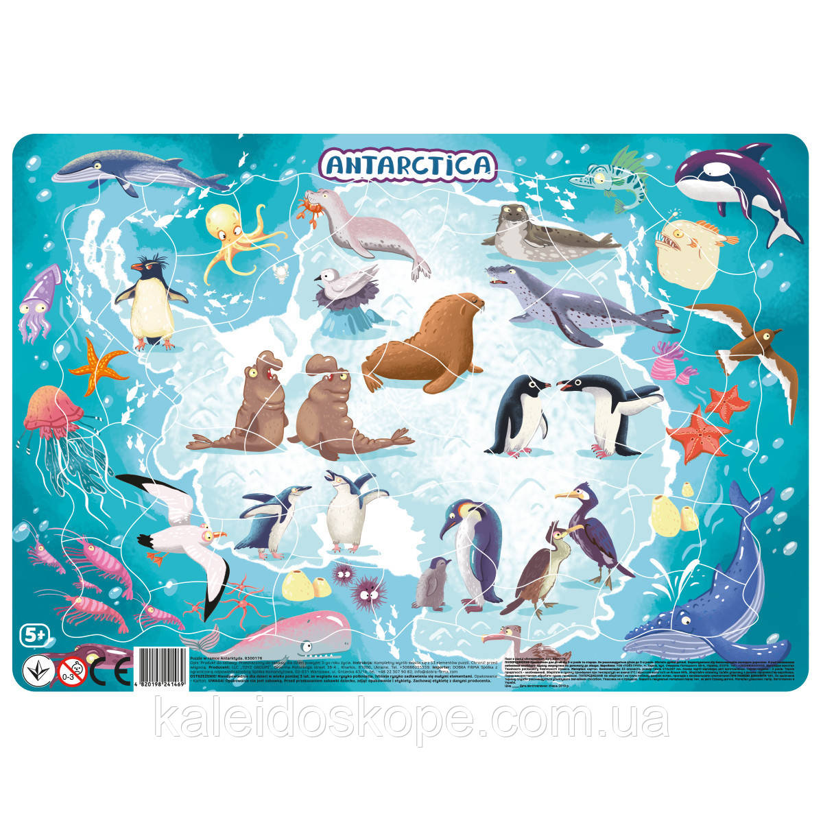 Пазл с рамкой Антарктида Dodo
