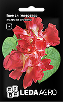 ТМ LEDAAGRO Іпомея махрова Імператор 0,2г