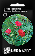 ТМ LEDAAGRO Іпомея квамокліт Вогняний кардинал 0,5г