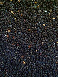 Бузина чорна (ягода), 500г., фото 2