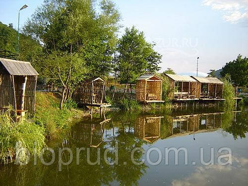 Рибний ставок.