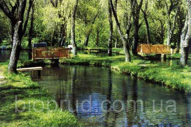 Водоєм для риби., фото 1