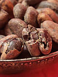 Какао боби Гана сушені 1 кг, фото 3