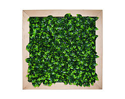 Фітокартина Engard "Соковите листя", 55х55 см (FP-11)