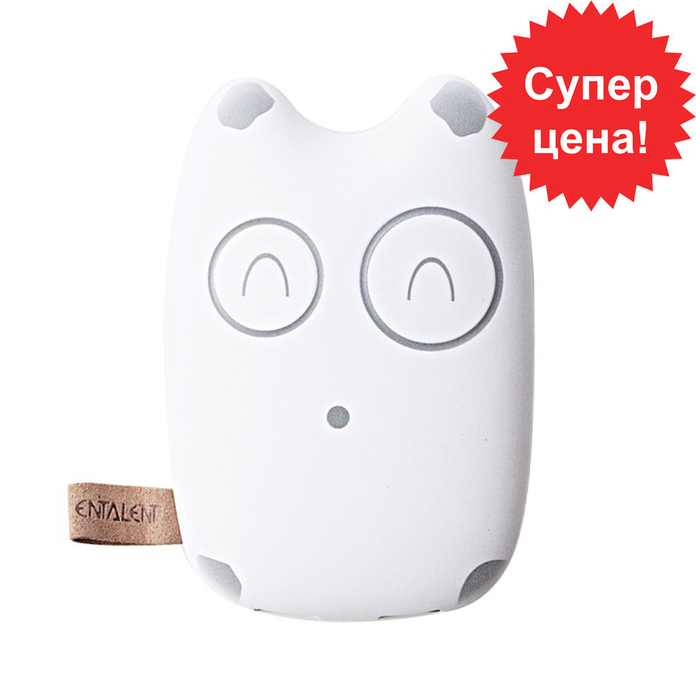 Зовнішній акумулятор Entalent Totoro Power Bank 20000 mAh | Повербанк Тоторо