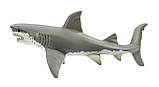 Safari Great White Shark Велика біла акула, фото 4