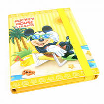 Папки для зошитів та праці