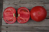 Кібо F1 10 шт. насіння томата високорослого рожевого Kitano, фото 5