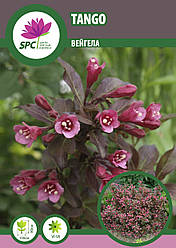 Вейгела Tango